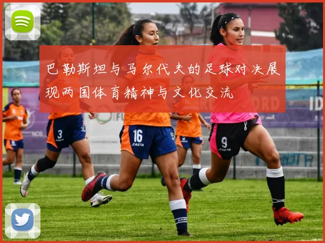 巴勒斯坦与马尔代夫的足球对决展现两国体育精神与文化交流